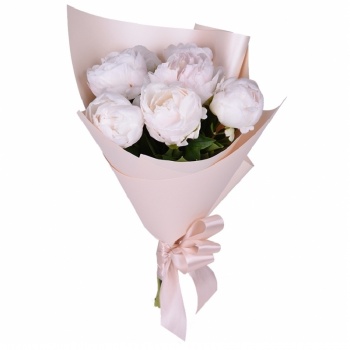 Букет из пионов "Жемчужина" 7 шт.