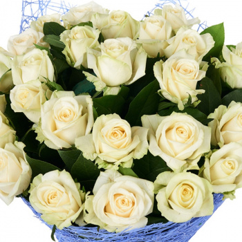 Букет из роз "Льдинка"  27 шт.